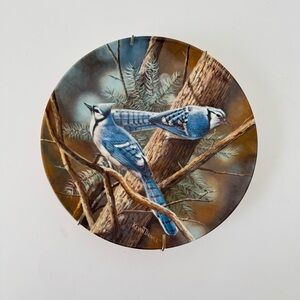 Blue Jay Decorative Plate